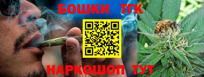 СК Бийск