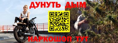 СК Бийск
