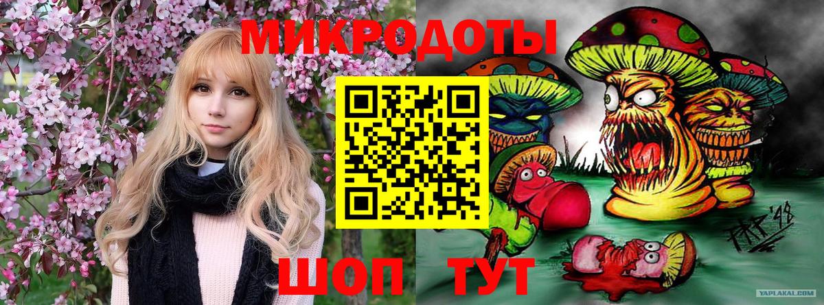 Галлюциногенные грибы Magic Shrooms Казань